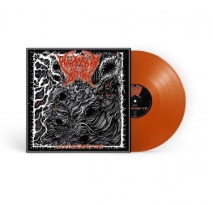 Wayward Dawn - All-Consuming Void (Orange Vinyl Lp in der Gruppe VINYL / Dansk Musik,Hårdrock bei Bengans Skivbutik AB (4176038)