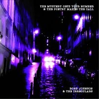 Johnson Robb & The Irregulars - Mystery Gets Your Number & The Poet in der Gruppe VINYL / Pop-Rock bei Bengans Skivbutik AB (4176460)