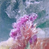 Efterklang - Plexiglass (Ltd Picture Disc Ep) in der Gruppe VINYL / Pop-Rock bei Bengans Skivbutik AB (4176527)