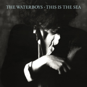 The Waterboys - This Is The Sea in der Gruppe VINYL bei Bengans Skivbutik AB (4178683)