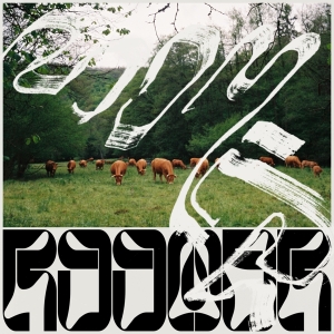 Roomer - Skice in der Gruppe VINYL bei Bengans Skivbutik AB (4178712)