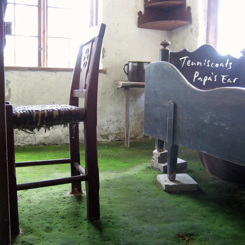 Tenniscoats - Papa's ear in der Gruppe CD / Pop bei Bengans Skivbutik AB (4178964)