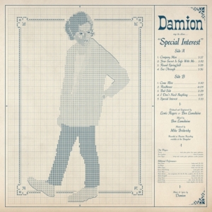 Damion - Special Interest in der Gruppe VINYL / Pop-Rock bei Bengans Skivbutik AB (4179619)