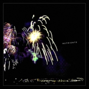 Nutrients - Different Bridges in der Gruppe VINYL / Pop-Rock bei Bengans Skivbutik AB (4179622)