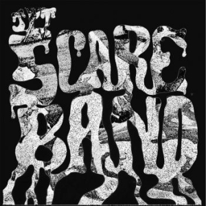 Jpt Scare Band - Acid Acetate Excursion / Rape Of Th in der Gruppe VINYL / Rock bei Bengans Skivbutik AB (4179642)
