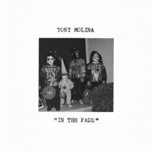 Tony Molina - In The Fade in der Gruppe VINYL / Pop-Rock bei Bengans Skivbutik AB (4180175)