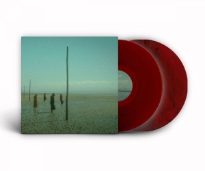 Devils Witches - In All Her Forms (Red/Black Marbled in der Gruppe VINYL / Hårdrock bei Bengans Skivbutik AB (4180180)