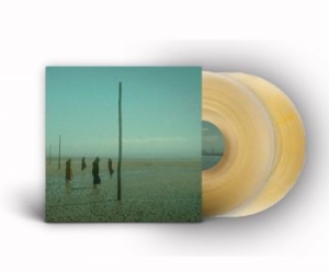 Devils Witches - In All Her Forms (Gold/Clear Marble in der Gruppe VINYL / Hårdrock/ Heavy metal bei Bengans Skivbutik AB (4180183)