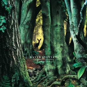 David Sylvian - Manafon in der Gruppe VINYL / Pop-Rock bei Bengans Skivbutik AB (4180809)