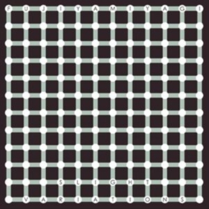 Fujiya & Miyagi - Slight Variations in der Gruppe CD / Pop-Rock bei Bengans Skivbutik AB (4181324)