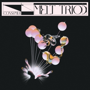 Melt Trio - Consumer in der Gruppe VINYL / Jazz bei Bengans Skivbutik AB (4181964)
