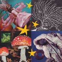 Blandade Artister - All Things Considered Vol 2 in der Gruppe VINYL / Bestseller bei Bengans Skivbutik AB (4181975)