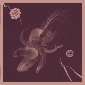 Turner Aaron & Jon Mueller - Now That You've Found It in der Gruppe VINYL / Hårdrock bei Bengans Skivbutik AB (4182012)