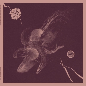 Turner Aaron & Jon Mueller - Now That You've Found It in der Gruppe VINYL / Hårdrock bei Bengans Skivbutik AB (4182012)