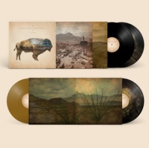 Heartless Bastards - Arrow (10Th Anniversary) (Black & G in der Gruppe VINYL / Hårdrock,Pop-Rock bei Bengans Skivbutik AB (4182039)