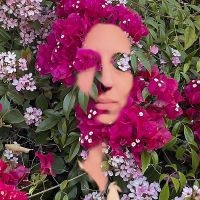 Press Daisy - You Are The FlowerMusic From Hilde in der Gruppe CD / Pop-Rock bei Bengans Skivbutik AB (4182054)