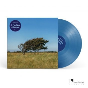 Riis Bjïrn - A Fleeting Glipse (Transparent Blue in der Gruppe VINYL / Rock bei Bengans Skivbutik AB (4182303)