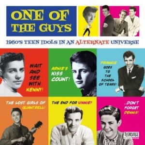 Various Artists - One Of The Guys (1960S Teen Idols I in der Gruppe CD / Pop bei Bengans Skivbutik AB (4182321)