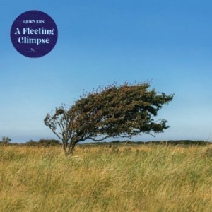 Riis Bjïrn - A Fleeting Glipse in der Gruppe CD bei Bengans Skivbutik AB (4182364)