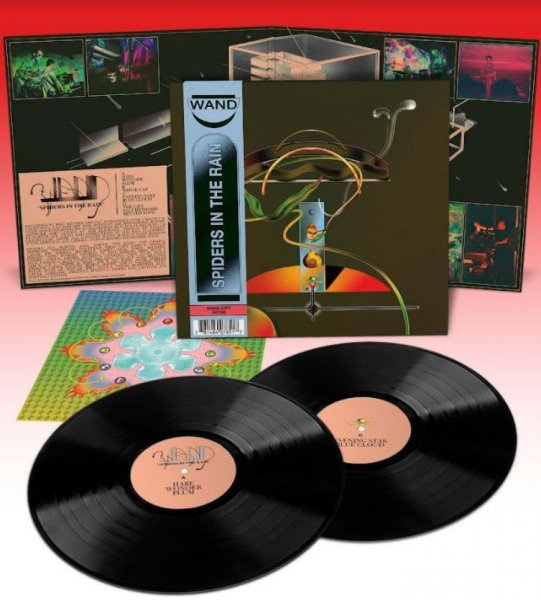 Wand - Spiders In The Rain in der Gruppe VINYL / Bestseller bei Bengans Skivbutik AB (4182861)