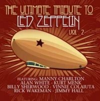 Various Artist - Led Zeppelin - Ultimate Tribute 2 in der Gruppe VINYL / Pop-Rock bei Bengans Skivbutik AB (4182912)