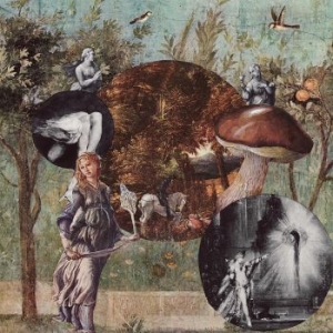 Native Harrow - Old Kind Of Magic in der Gruppe VINYL bei Bengans Skivbutik AB (4183101)