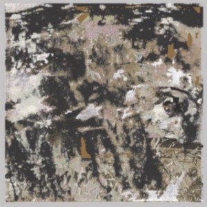 James Loraine - Building Something Beautiful For Me in der Gruppe VINYL / Pop-Rock bei Bengans Skivbutik AB (4183888)