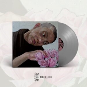 Birds In Row - Gris Klein (Silver Vinyl Lp) in der Gruppe VINYL / Pop-Rock bei Bengans Skivbutik AB (4184306)
