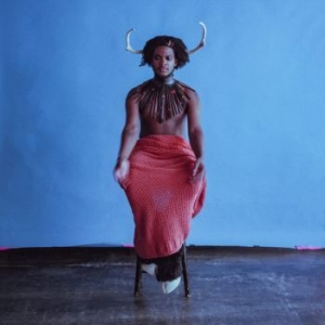 Shamir - Heterosexuality in der Gruppe VINYL bei Bengans Skivbutik AB (4184509)