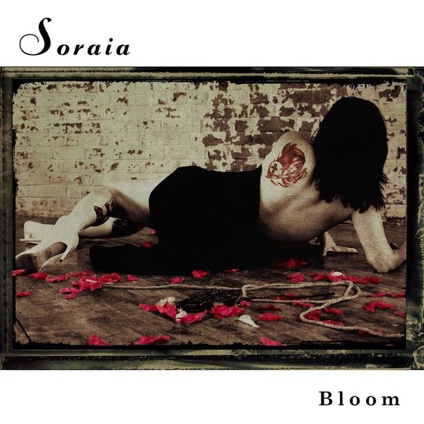Soraia - Bloom in der Gruppe CD / Jazz/Blues bei Bengans Skivbutik AB (4184537)