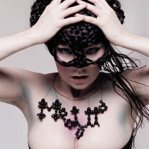 Bjork - Medulla in der Gruppe CD bei Bengans Skivbutik AB (4184657)