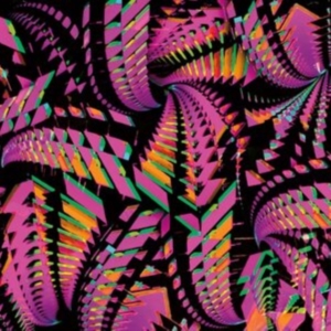 Bitchin Bajas - Bajascillators in der Gruppe VINYL / Pop-Rock bei Bengans Skivbutik AB (4185378)