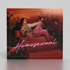 Hayes Darren - Homosexual (Turquoise) in der Gruppe VINYL / Pop-Rock bei Bengans Skivbutik AB (4185394)