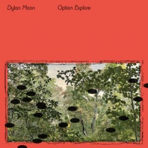 Dylan Moon - Option Explore in der Gruppe VINYL / Dance-Techno bei Bengans Skivbutik AB (4185448)
