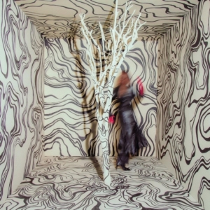 Madison Cunningham - Revealer in der Gruppe VINYL / Jazz bei Bengans Skivbutik AB (4186022)