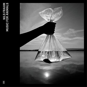 Nils Frahm - Music For Animals in der Gruppe CD bei Bengans Skivbutik AB (4186265)