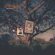 Mönster - Life Science in der Gruppe VINYL / Pop-Rock bei Bengans Skivbutik AB (4186368)