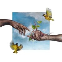 Kariuki Nyokabi - Peace Places: Kenyan Memories in der Gruppe VINYL / Pop-Rock bei Bengans Skivbutik AB (4187673)