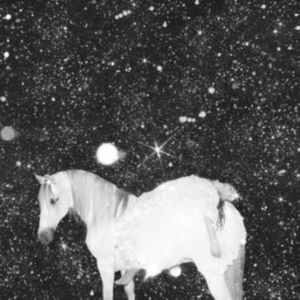 Black Lips - Apocalypse Love in der Gruppe CD / Pop-Rock bei Bengans Skivbutik AB (4187700)