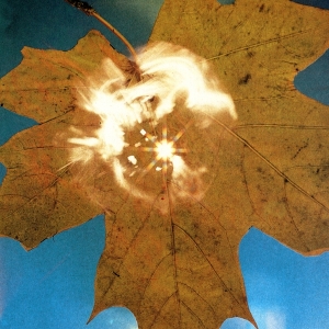 Soyuz - Force Of The Wind in der Gruppe CD bei Bengans Skivbutik AB (4187774)