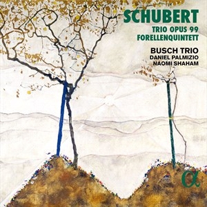 Schubert Franz - Trio, Op. 99 Forellenquintett in der Gruppe Externt_Lager / Naxoslager bei Bengans Skivbutik AB (4189297)