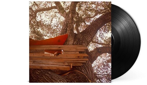 The Backseat Lovers - Waiting To Spill in der Gruppe VINYL / Pop bei Bengans Skivbutik AB (4190385)