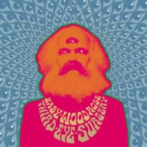 Baby Woodrose - Third Eye Surgery (Clear Vinyl Lp) in der Gruppe VINYL / Pop bei Bengans Skivbutik AB (4190970)