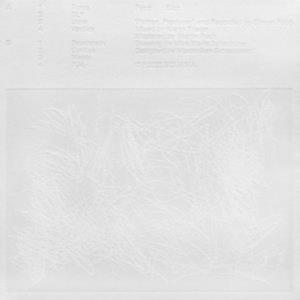 Popp - Blizz in der Gruppe Övrigt /  bei Bengans Skivbutik AB (4193892)