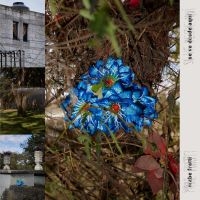 Fratti Mabe - Se Ve Desde Aqui in der Gruppe CD / Jazz bei Bengans Skivbutik AB (4193952)