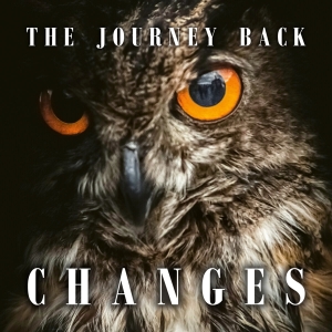 Journey Back - Changes in der Gruppe CD bei Bengans Skivbutik AB (4194691)