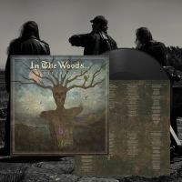 In The Woods... - Diversum (Vinyl Lp) in der Gruppe VINYL / Hårdrock/ Heavy metal bei Bengans Skivbutik AB (4196508)