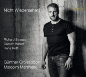 Rott Hans Strauss Richard - Rott & Strauss: Nicht Wiedersehen! in der Gruppe Externt_Lager / Naxoslager bei Bengans Skivbutik AB (4196900)