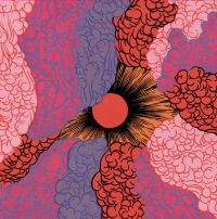 Skinshape - High Tide, Storm Rising / Theme For in der Gruppe VINYL / Pop-Rock bei Bengans Skivbutik AB (4199954)