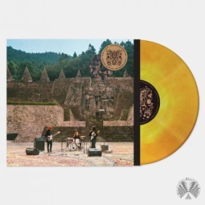 Mint Field - Levitation Sessions in der Gruppe VINYL bei Bengans Skivbutik AB (4199999)